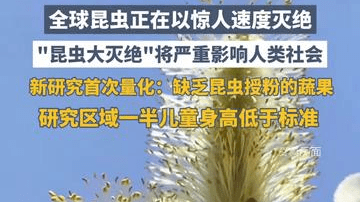 全球昆虫正在以惊人速度灭绝。新研究首次量化：由于缺乏昆虫授粉的蔬果，研究区域一半儿童身高低于标准