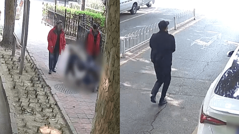 2岁幼童和外公外婆遛弯，被生父雇人当街抢走，外婆事后暴瘦30斤，清华女博士崩溃寻子