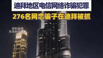中美阿三国联合打击迪拜地区电诈犯罪