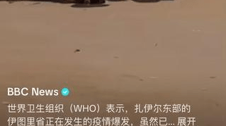 刚果爆发埃博拉疫情 世卫组织称其为“全球紧急事件”