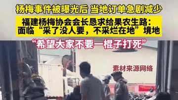 订单急剧减少，福建杨梅协会会长恳求给果农一条生路：不要一棍子打死