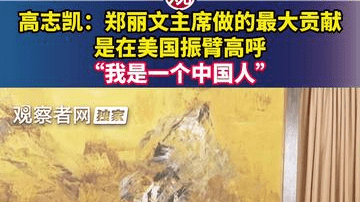 高志凯：郑丽文主席做的最大贡献，是在美国振臂高呼“我是一个中国人”