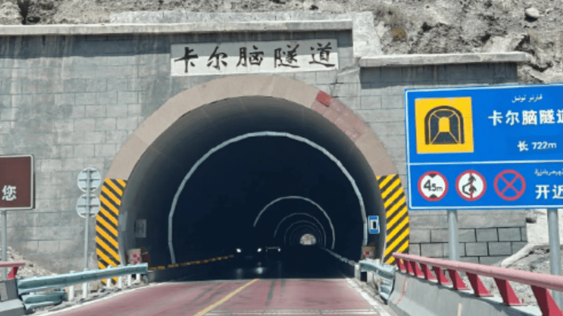 在漆黑隧道撞死29只羊，女司机被判全责赔32只！网友吵翻了