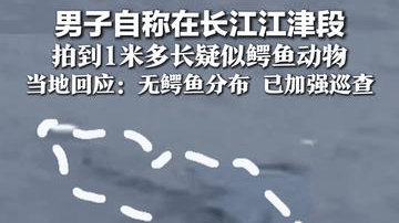 野泳需警惕！男子自称在长江江津段 拍到1米多长疑似鳄鱼动物 当地回应：无鳄鱼分布 已加强巡查