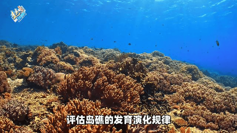 中国在南海秘密施工，不是什么军事堡垒，是让菲律宾更绝望的东西