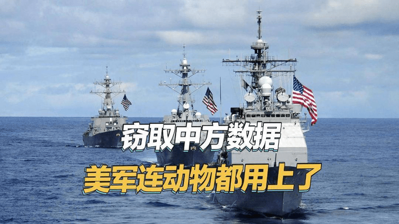 搜集中国核潜艇敏感数据，美军毫无下限，连动物都用上了