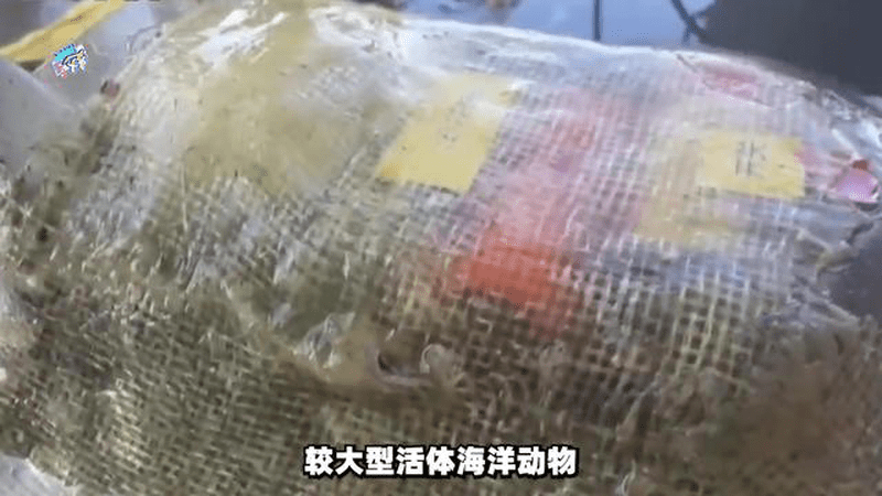 境外间谍在中国家门口布下“水下天网”，解放军底牌差点被扒光