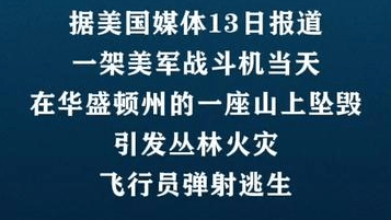 美军一战斗机在华盛顿州坠毁
