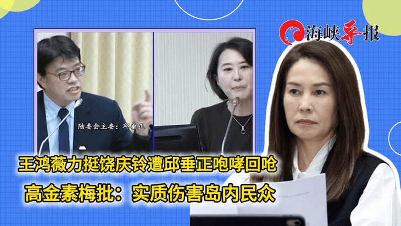 王鸿薇力挺饶庆铃遭咆哮回呛，高金素梅批陆委会“伤害岛内民众”