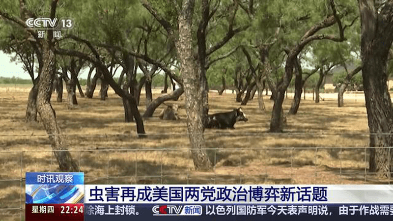 时讯观察 虫害再成美国两党政治博弈新话题