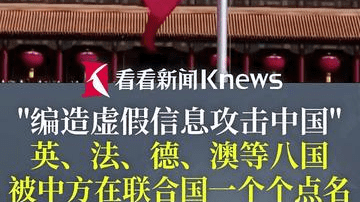 英法德澳等八国 被中方在联合国一个个点名