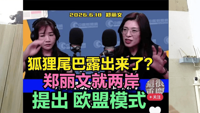 郑丽文就两岸关系，提出“欧盟模式”，是狐狸尾巴露出来了吗？