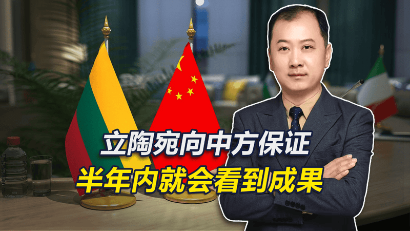 同意中国设立临时代办后，立陶宛向中方保证，半年内就会看到成果