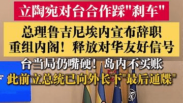 立陶宛暂停与台当局合作 总理宣布辞职