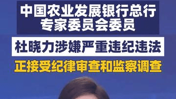 中国农业发展银行总行专家委员会委员杜晓力接受审查调查