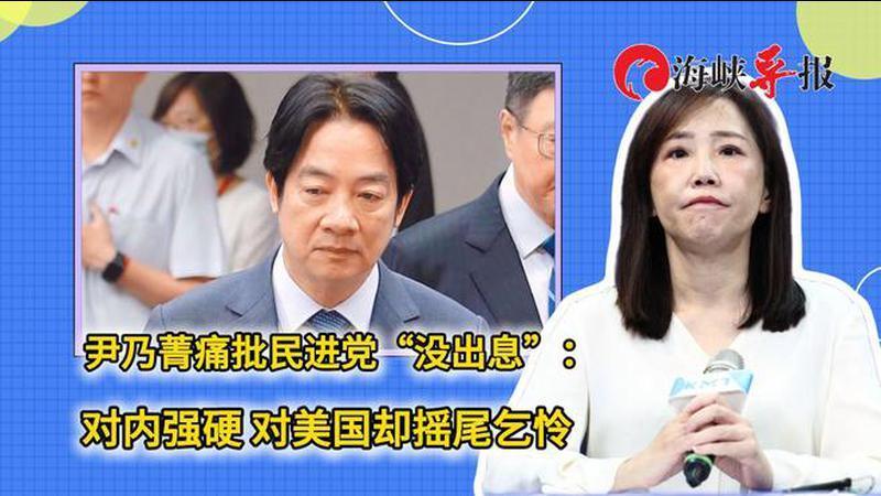 尹乃菁痛批民进党“没出息”：对内强硬，对美国却摇尾乞怜