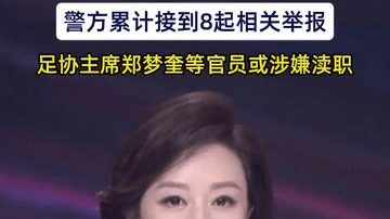 韩警方调查韩国队主帅任命是否违法，足协主席郑梦奎等官员或涉嫌渎职