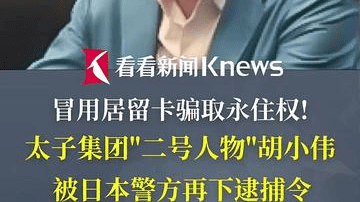冒用居留卡骗日本永居 太子集团胡小伟再被捕