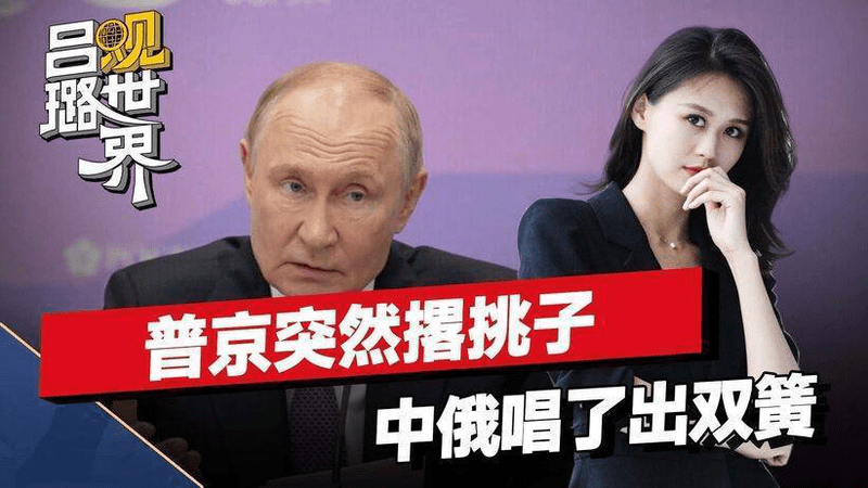普京突然撂挑子，中国在安理会唱双簧，让夸下海口的特朗普很难办