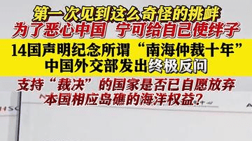 为恶心中国，14国给自己使绊子，外交部终极反问