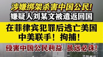 中美联手！拘捕！犯罪嫌疑人刘某文被遣返回国