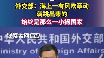 外交部：海上一有风吹草动就跳出来的始终是那么一小撮国家