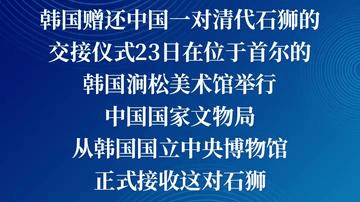 韩国赠还中国一对清代石狮