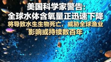 美国科学家警告：全球水体含氧量正迅速下降，将导致水生生物死亡，威胁全球渔业；影响或持续数百年