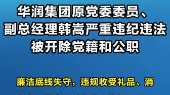 【华润集团原党委委员、副总经理韩嵩严重违纪违法被开除党籍和公职】（新华社）