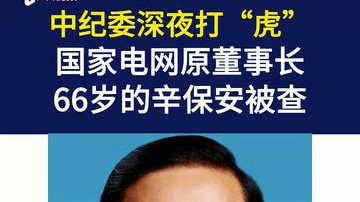 中纪委深夜打“虎”：国家电网原董事长、66岁的辛保安被查