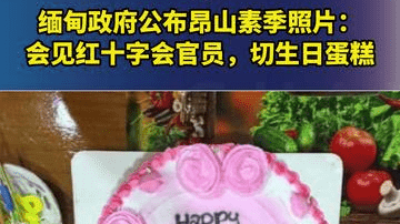 缅甸政府公布昂山素季照片：会见红十字会官员，切生日蛋糕