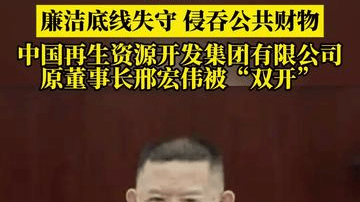 廉洁底线失守，侵吞公共财物 中国再生资源开发集团有限公司原董事长邢宏伟被“双开”