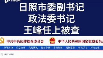 山东省日照市委副书记、政法委书记王峰任上被查