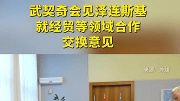 武契奇会见泽连斯基 就经贸等领域合作交换意见