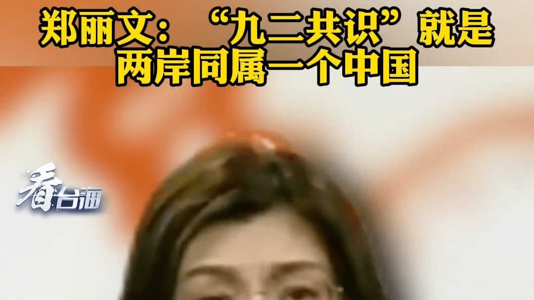 郑丽文：“九二共识”就是两岸同属一个中国 国民党从头到尾反对“台独”