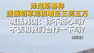 泽连斯基称援俄朝军增至三到五万 喊话韩国合作
