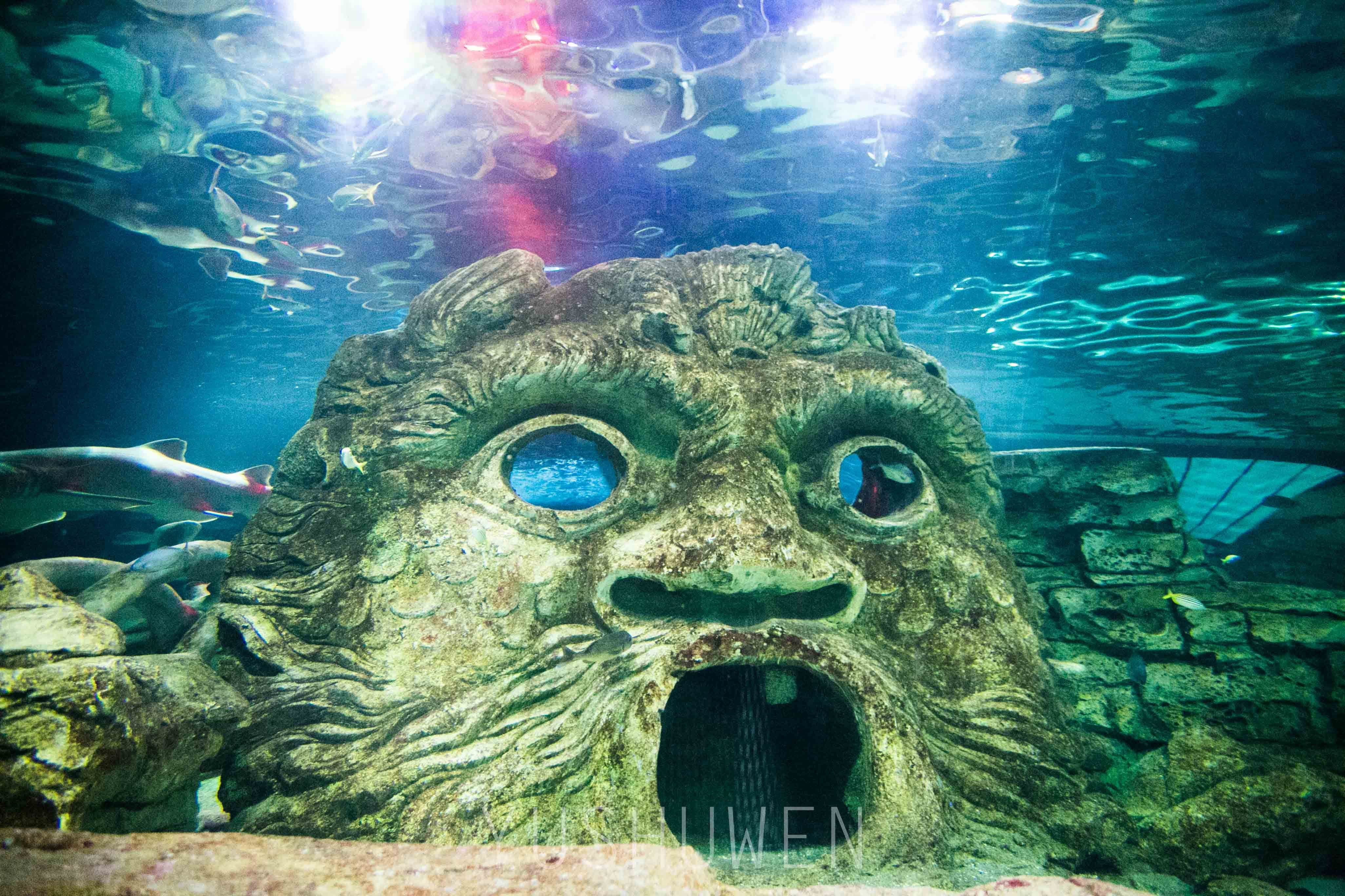 体验神奇梦幻海底世界——悉尼海洋生物水族馆