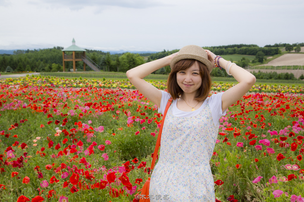 夏日北海道 <wbr>花海涌动