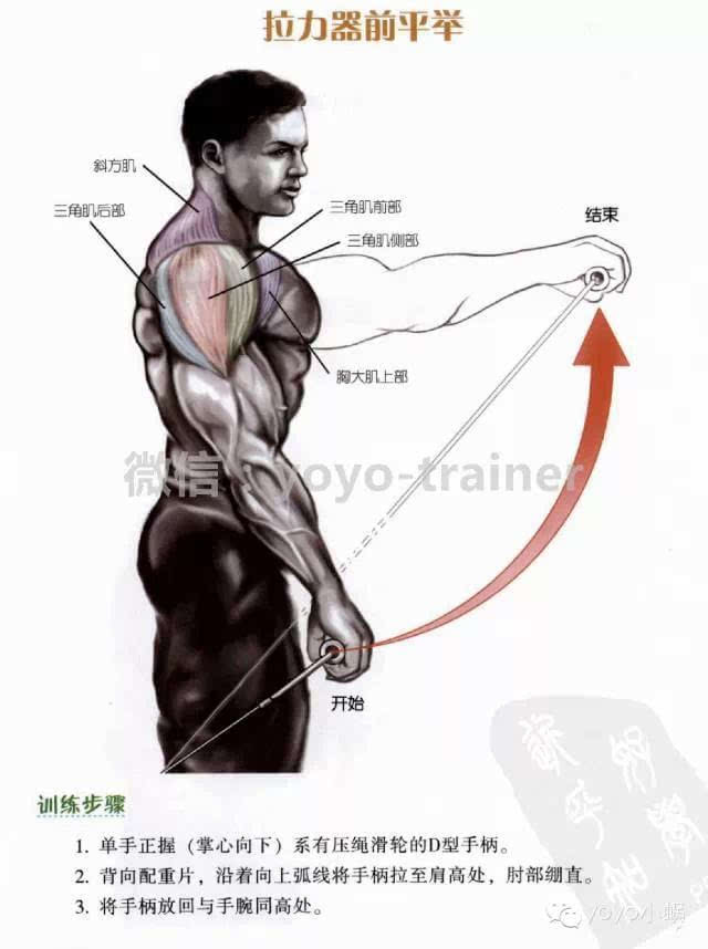 肩部训练四种方法全方位轰炸三角肌前束收藏吧