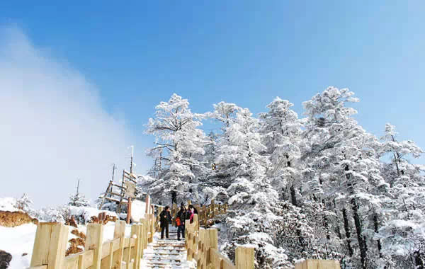 西岭雪山雪景