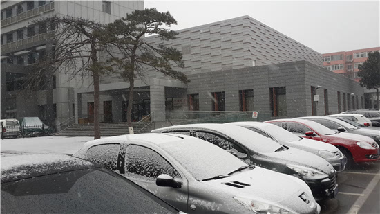 图为中国气象局大院降雪情况 张永/摄