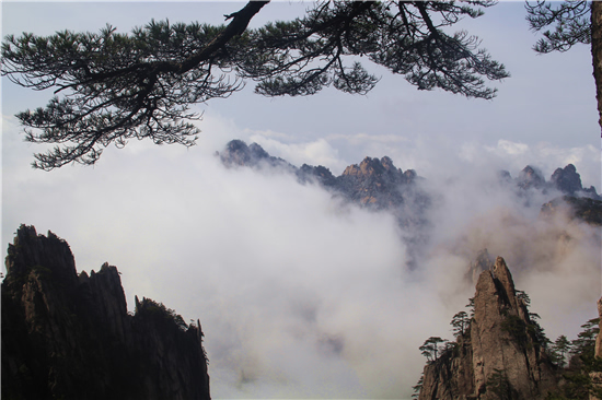 黄山雨后现云海雾凇美景