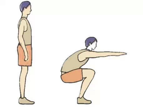 6.squat——蹲起5.step-uponto chair——单腿上椅站立4.