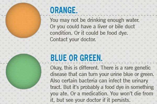 尿液颜色可以知道健康情况