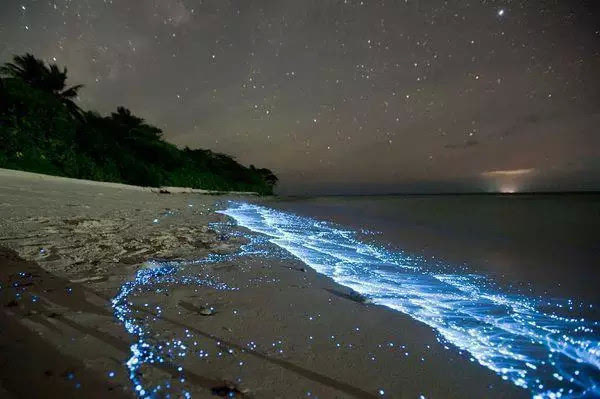 马尔代夫蓝眼泪沙滩--你所不知道的独特美景