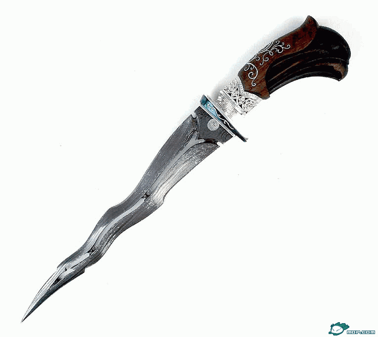 安息蛇形剑,只配发给皇宫女眷,安息在现在的伊朗