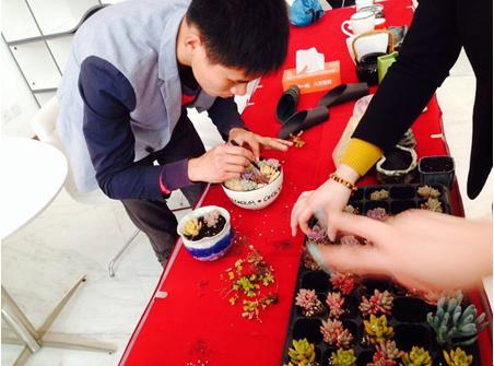 MAX未来多肉diy与团购活动圆满举办-搜狐