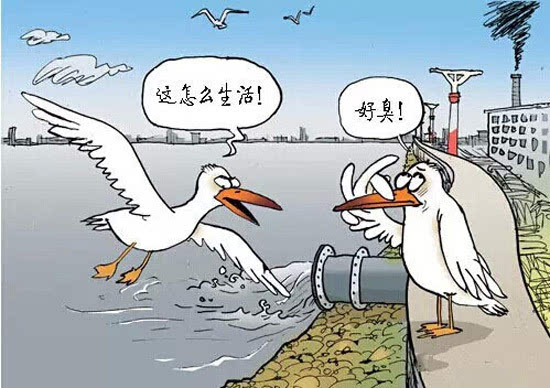 中国水污染严重到了什么程度你造吗???!!!-搜狐