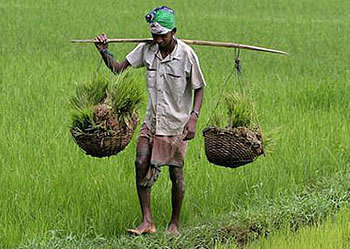 卡里姆希迪奎:土地私有化能解决农村问题?印度