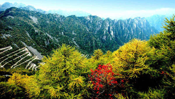 中国最美的十大森林公园-白云山(600332)-股票